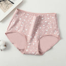 Kit 04 Calcinhas Flor de Algodão