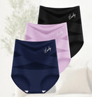 Kit 03 Calcinhas Modeladoras - Efeito Seca Barriga