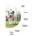 Brinquedo Interativo para Cães