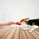 Brinquedo Interativo para Cães