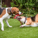 Brinquedo Interativo para Cães